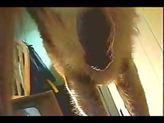 Dog Lesbian Porn