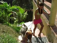 Guy Fucks Dog Rough Porn