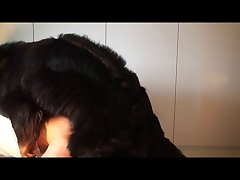 Relato De Zoofilia Hombres