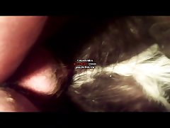 Emo Zoo Porn