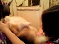 Sexo Zoofilia Gratis