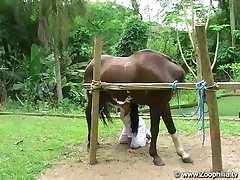 Man Suck Dog Cock Porn