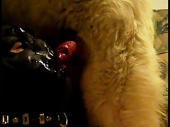 Candy Manson Dog Collar Porn