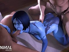 Animal Sex Fun .com