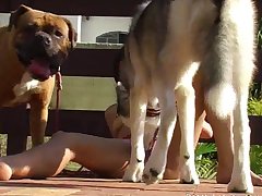 Sexo Gay Zoofilia