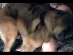 Zoo Hypno Porn
