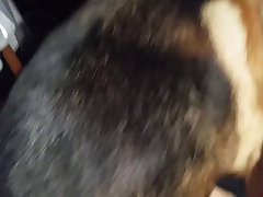Horse Dildo Anal Porn