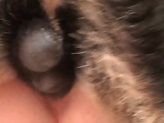 Dog Licks Mans Ass Porn