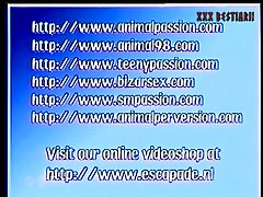 Gay Cartoon Dog Porn