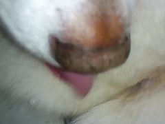 Skirby Dog Video Leak Porn