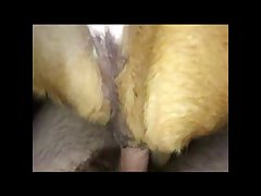 Man Fucks Dog Gay Porn