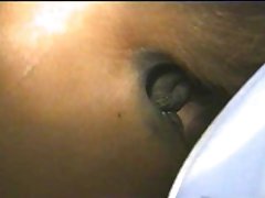 Horse Shit Porn
