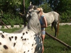 Dog With Huge Dick Porn