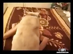 Which Animal Has The Most Sex