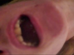 Girl Sucking Horse Porn