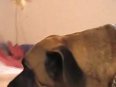 What Animal Has Sex For Pleasure