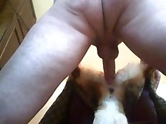 Telegram Animal Sex