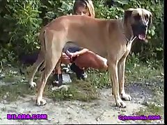 Gay Zoo Porn Dog