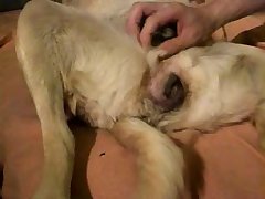 Daughter And Dog Porn