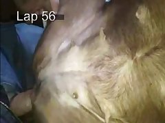 Animal That Can Change Sex