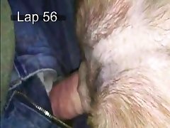 Animal That Can Change Sex