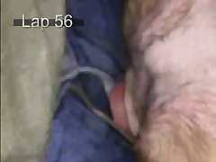 Animal That Can Change Sex