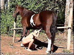 Horse Dildo Porn Gifs