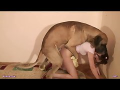 Furry Horse Girl Porn