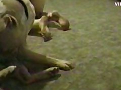 Porn Fisting Horse