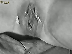 Dog Asslicking Porn