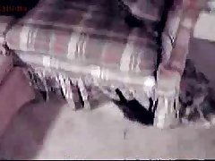 Kid And Dog Porn