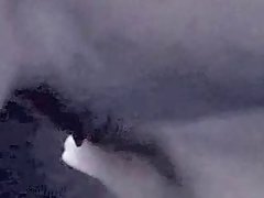 Girl Fucks A Horse Porn