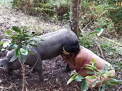 Women Getting Fucked By Horse Porn