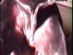 Girl Fucks Horse Cock Porn