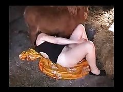 Dog Cock Ai Porn