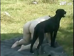 Furry Horse Ai Porn