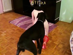 Zoofilia Con Animales Pequenos