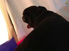 Chinese Slave Dog Porn
