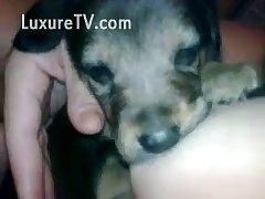 Dog Fuck Dog Hard