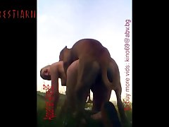 Dog Fuck Big Boob Girl