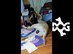 Animal Meet Porn