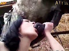 Animal Bukkake Porn