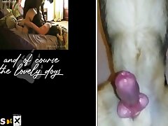 Animal Sucking Penis Porn